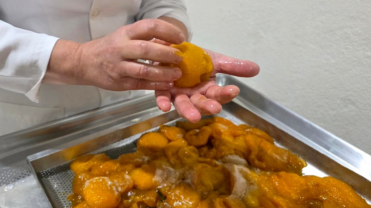 Doce tradição em risco: como Pelotas luta para salvar seu patrimônio imaterial